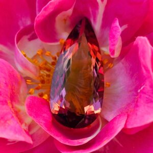 Tourmaline 4.99ct 18.50x8.70x4.62mm