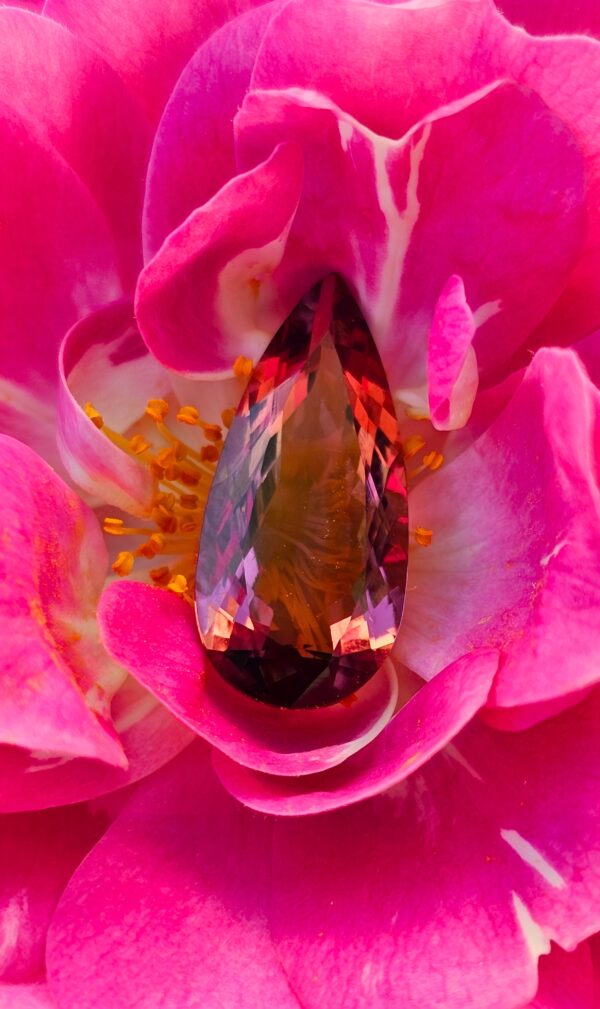 Tourmaline 4.99ct 18.50x8.70x4.62mm