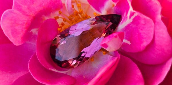 Tourmaline 4.99ct 18.50x8.70x4.62mm – Image 2