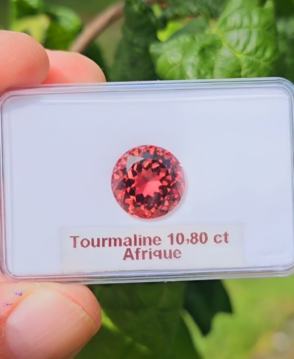 Tourmaline 10.80ct 13.70mm – Image 2